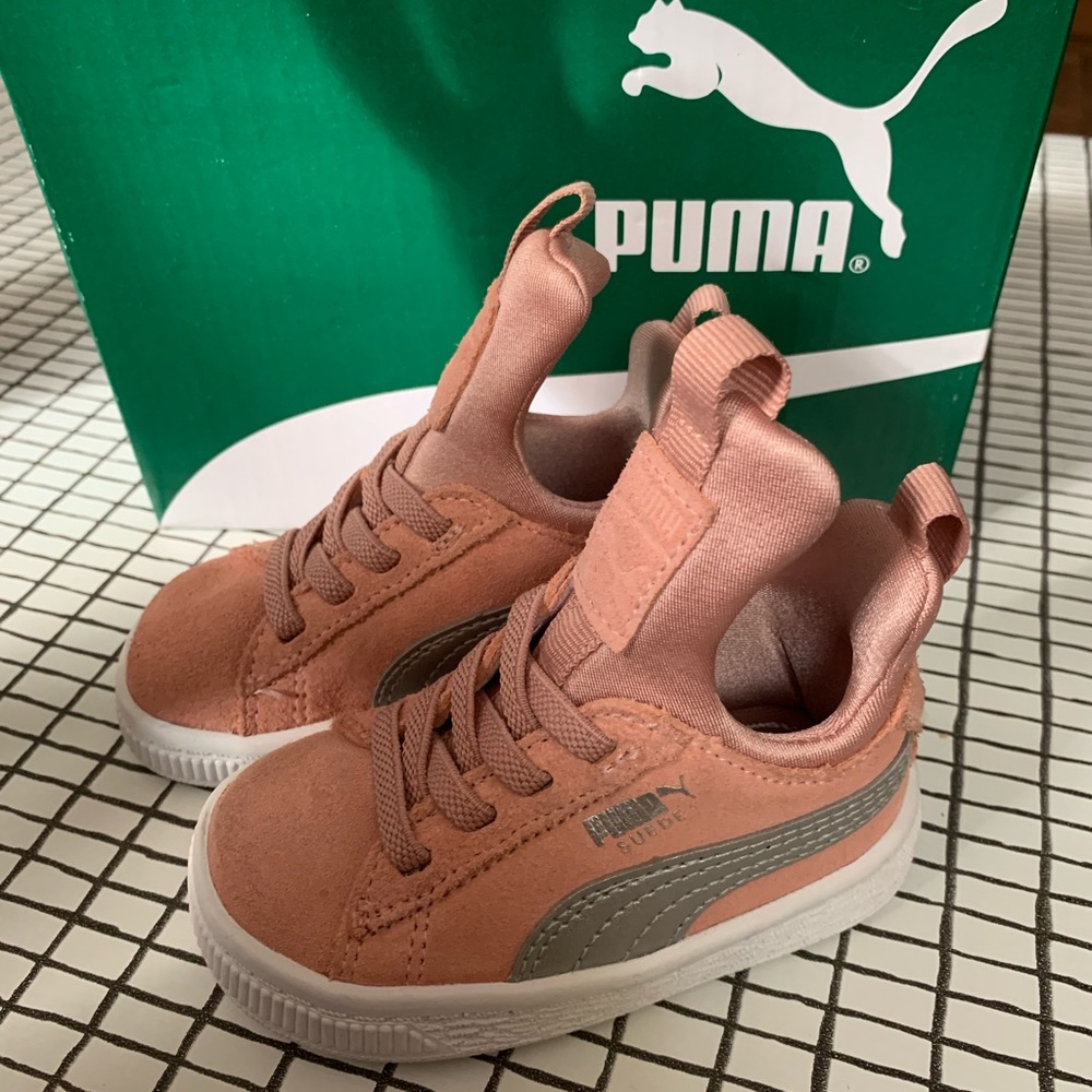 Baby Puma